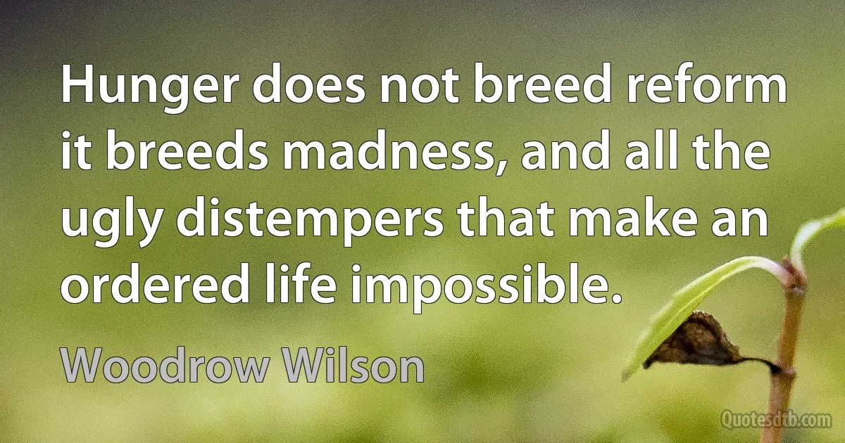 Hunger does not breed reform it breeds madness, and all the ugly distempers that make an ordered life impossible. (Woodrow Wilson)