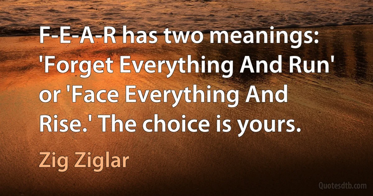 F-E-A-R has two meanings: 'Forget Everything And Run' or 'Face Everything And Rise.' The choice is yours. (Zig Ziglar)