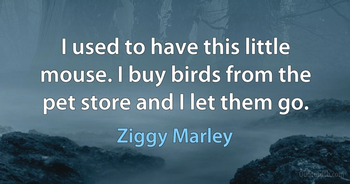 I used to have this little mouse. I buy birds from the pet store and I let them go. (Ziggy Marley)