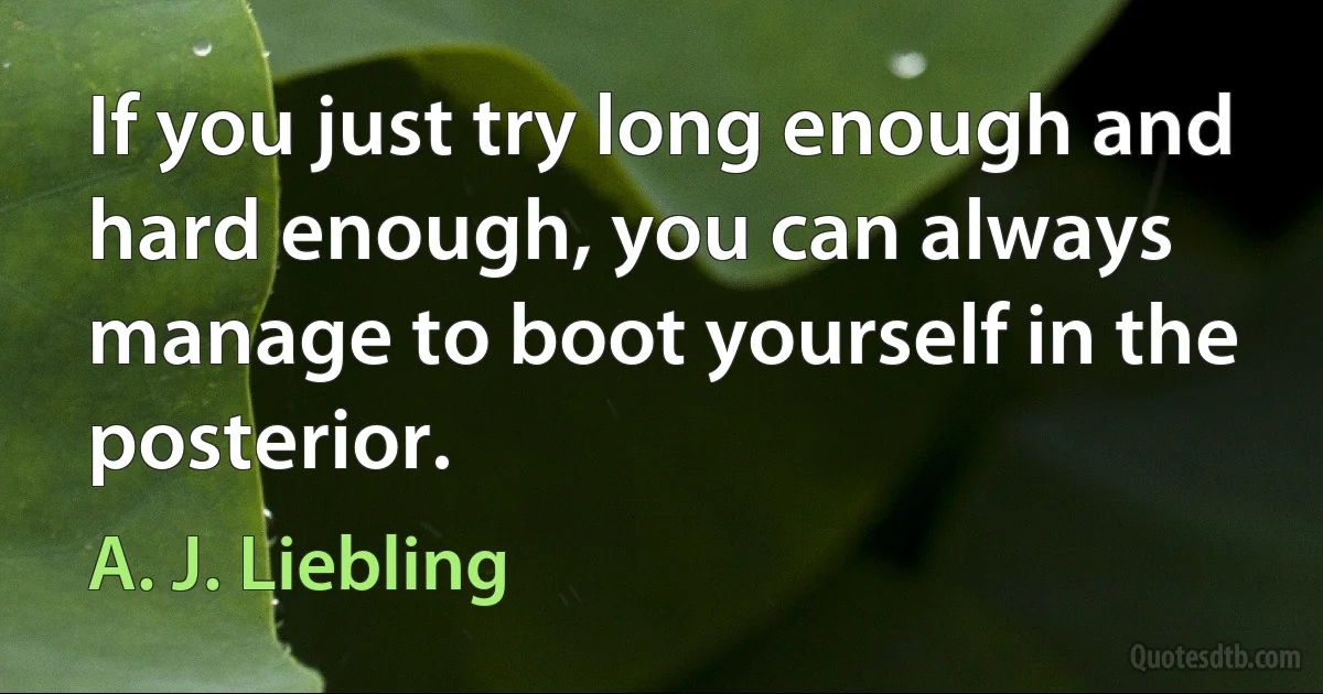 If you just try long enough and hard enough, you can always manage to boot yourself in the posterior. (A. J. Liebling)