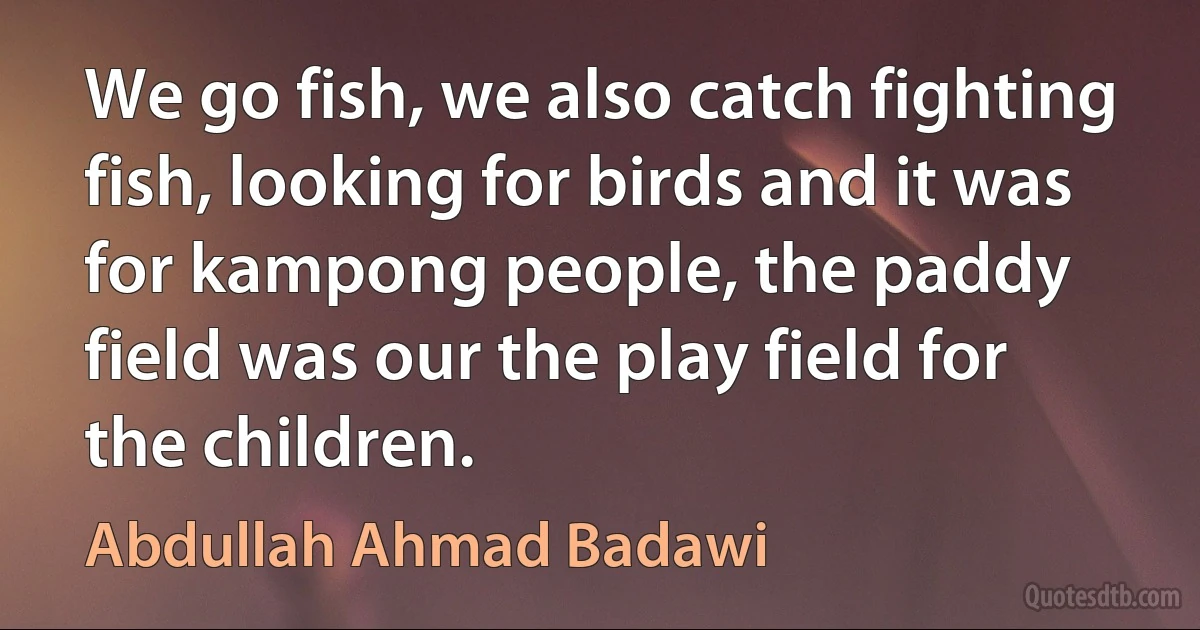 We go fish, we also catch fighting fish, looking for birds and it was for kampong people, the paddy field was our the play field for the children. (Abdullah Ahmad Badawi)