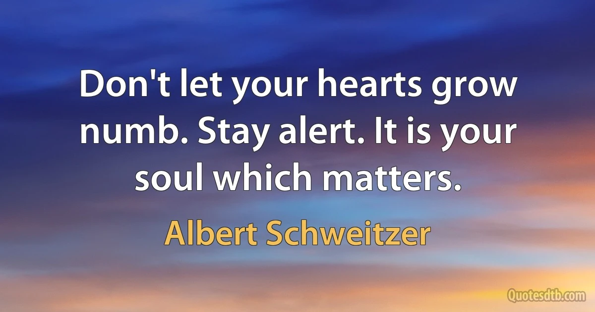 Don't let your hearts grow numb. Stay alert. It is your soul which matters. (Albert Schweitzer)