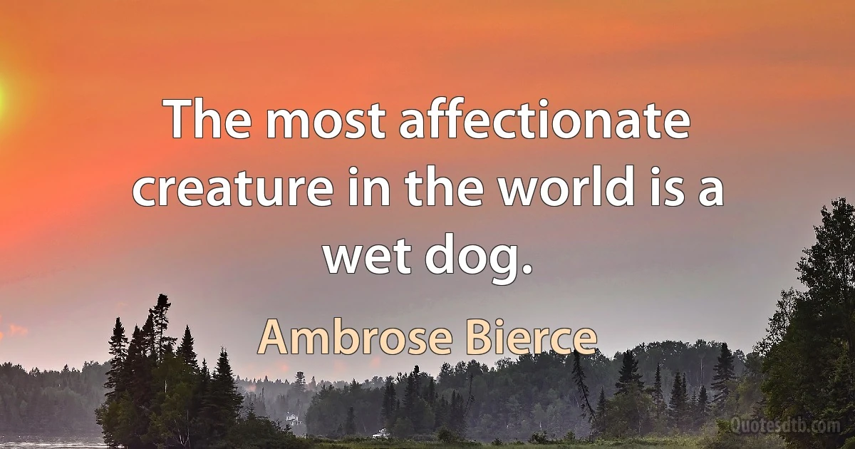 The most affectionate creature in the world is a wet dog. (Ambrose Bierce)