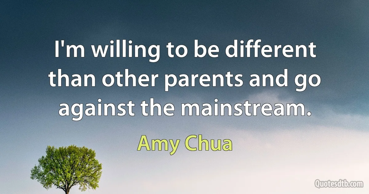 I'm willing to be different than other parents and go against the mainstream. (Amy Chua)