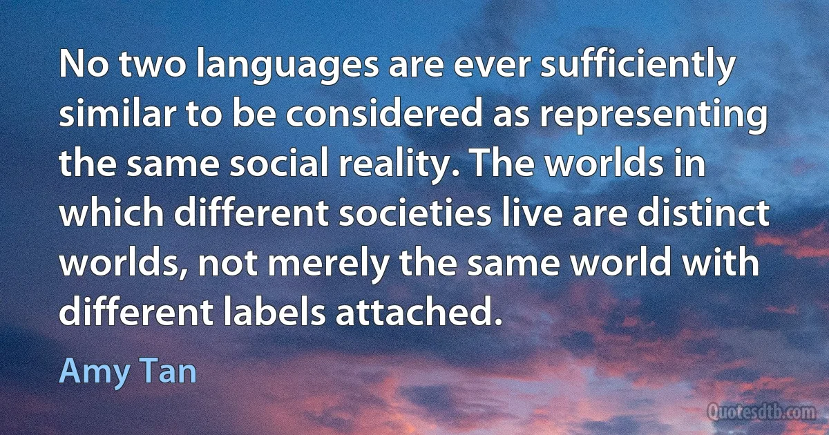 No two languages are ever sufficiently similar to be considered as representing the same social reality. The worlds in which different societies live are distinct worlds, not merely the same world with different labels attached. (Amy Tan)