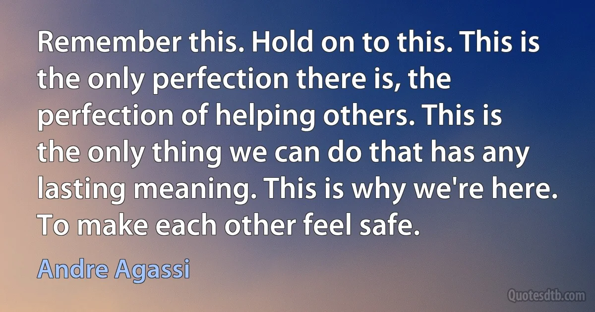 Remember this. Hold on to this. This is the only perfection there is, the perfection of helping others. This is the only thing we can do that has any lasting meaning. This is why we're here. To make each other feel safe. (Andre Agassi)