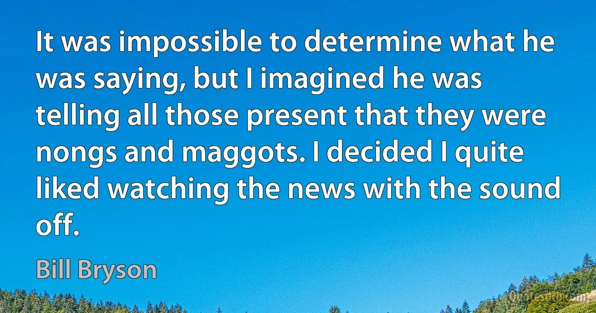 It was impossible to determine what he was saying, but I imagined he was telling all those present that they were nongs and maggots. I decided I quite liked watching the news with the sound off. (Bill Bryson)