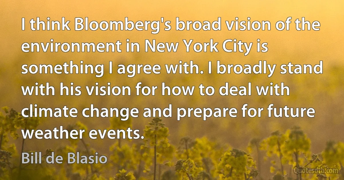 I think Bloomberg's broad vision of the environment in New York City is something I agree with. I broadly stand with his vision for how to deal with climate change and prepare for future weather events. (Bill de Blasio)