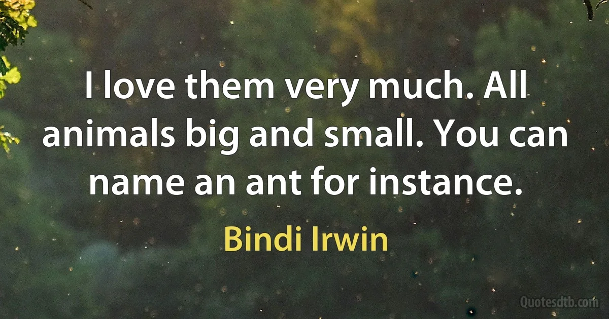 I love them very much. All animals big and small. You can name an ant for instance. (Bindi Irwin)