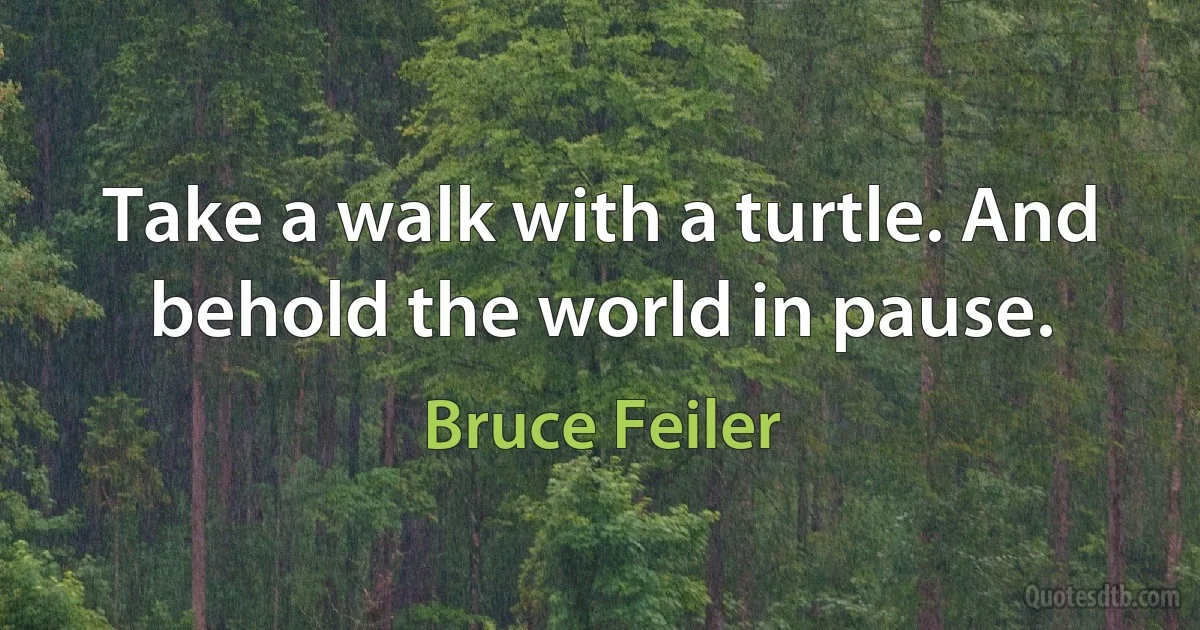 Take a walk with a turtle. And behold the world in pause. (Bruce Feiler)