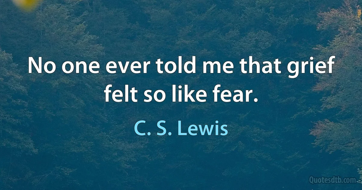 No one ever told me that grief felt so like fear. (C. S. Lewis)