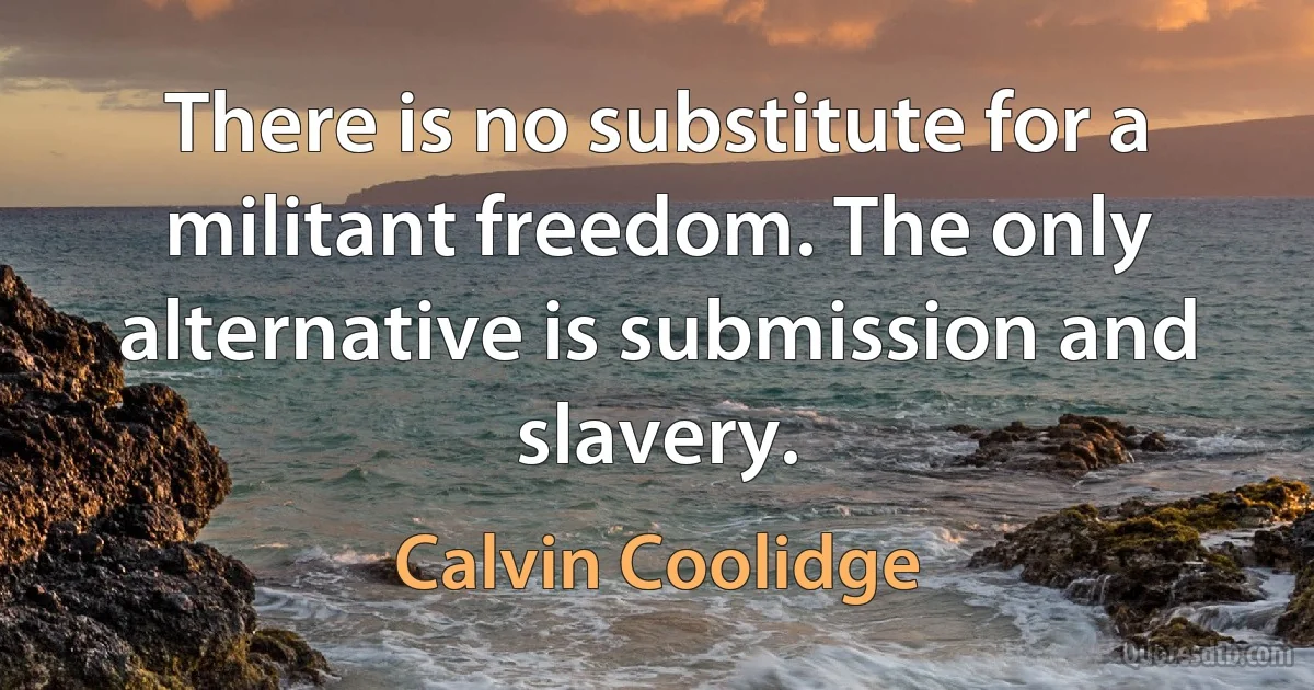 There is no substitute for a militant freedom. The only alternative is submission and slavery. (Calvin Coolidge)