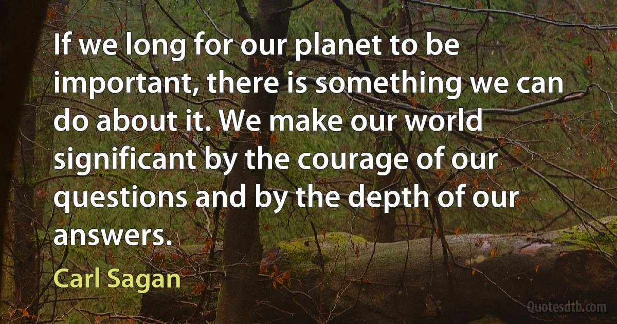 If we long for our planet to be important, there is something we can do about it. We make our world significant by the courage of our questions and by the depth of our answers. (Carl Sagan)