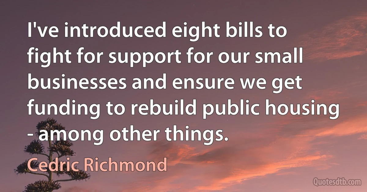 I've introduced eight bills to fight for support for our small businesses and ensure we get funding to rebuild public housing - among other things. (Cedric Richmond)