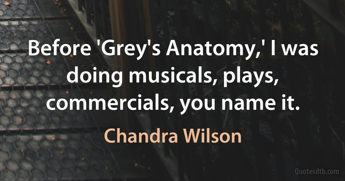 Before 'Grey's Anatomy,' I was doing musicals, plays, commercials, you name it. (Chandra Wilson)