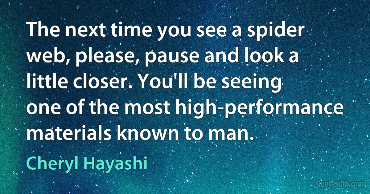 The next time you see a spider web, please, pause and look a little closer. You'll be seeing one of the most high-performance materials known to man. (Cheryl Hayashi)