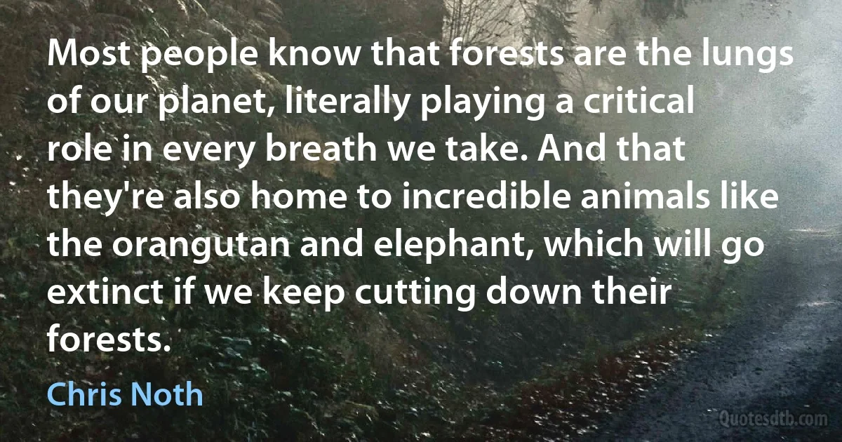 Most people know that forests are the lungs of our planet, literally playing a critical role in every breath we take. And that they're also home to incredible animals like the orangutan and elephant, which will go extinct if we keep cutting down their forests. (Chris Noth)