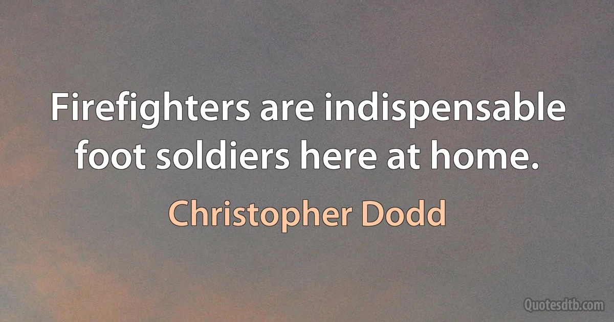 Firefighters are indispensable foot soldiers here at home. (Christopher Dodd)