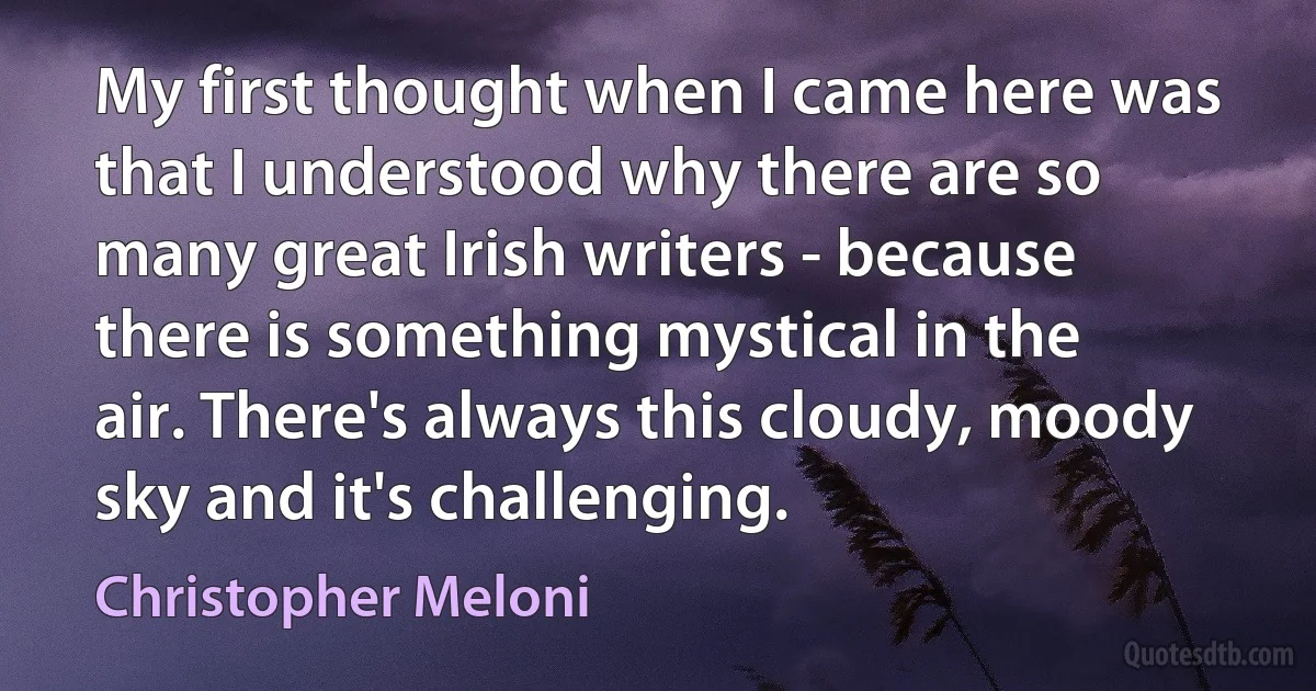 My first thought when I came here was that I understood why there are so many great Irish writers - because there is something mystical in the air. There's always this cloudy, moody sky and it's challenging. (Christopher Meloni)