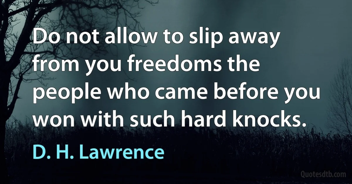 Do not allow to slip away from you freedoms the people who came before you won with such hard knocks. (D. H. Lawrence)