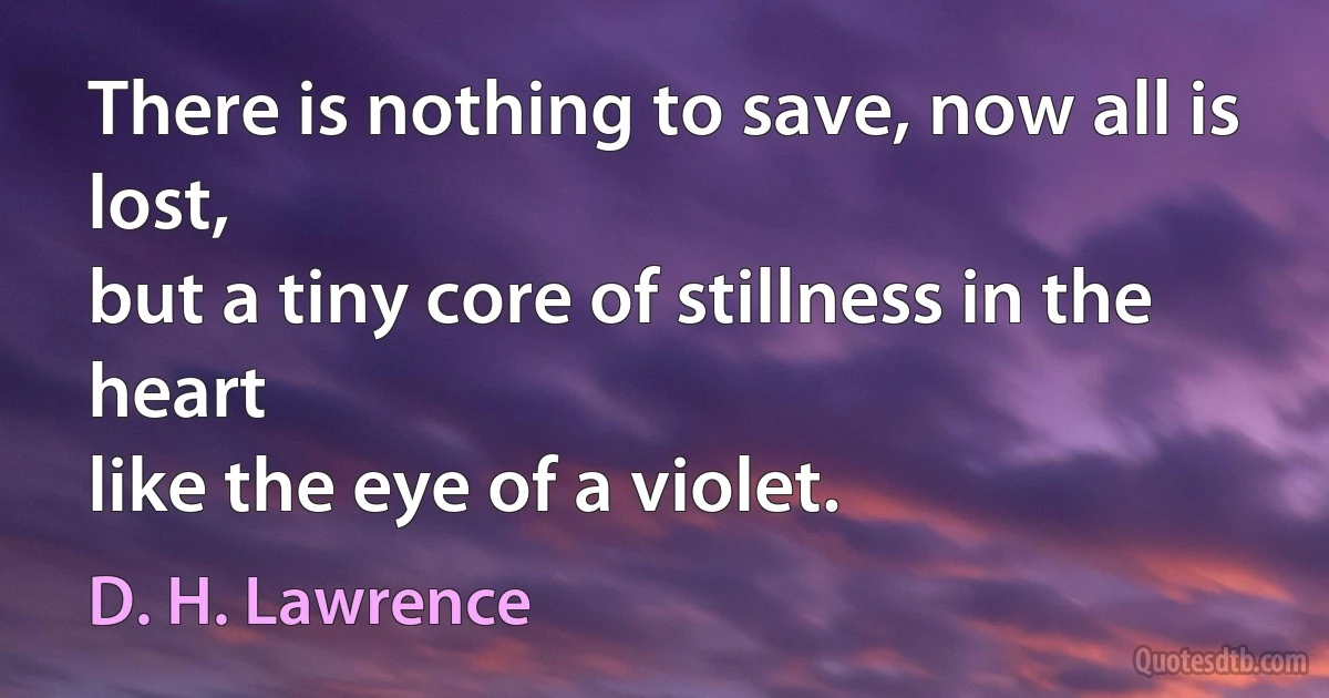 There is nothing to save, now all is lost,
but a tiny core of stillness in the heart
like the eye of a violet. (D. H. Lawrence)