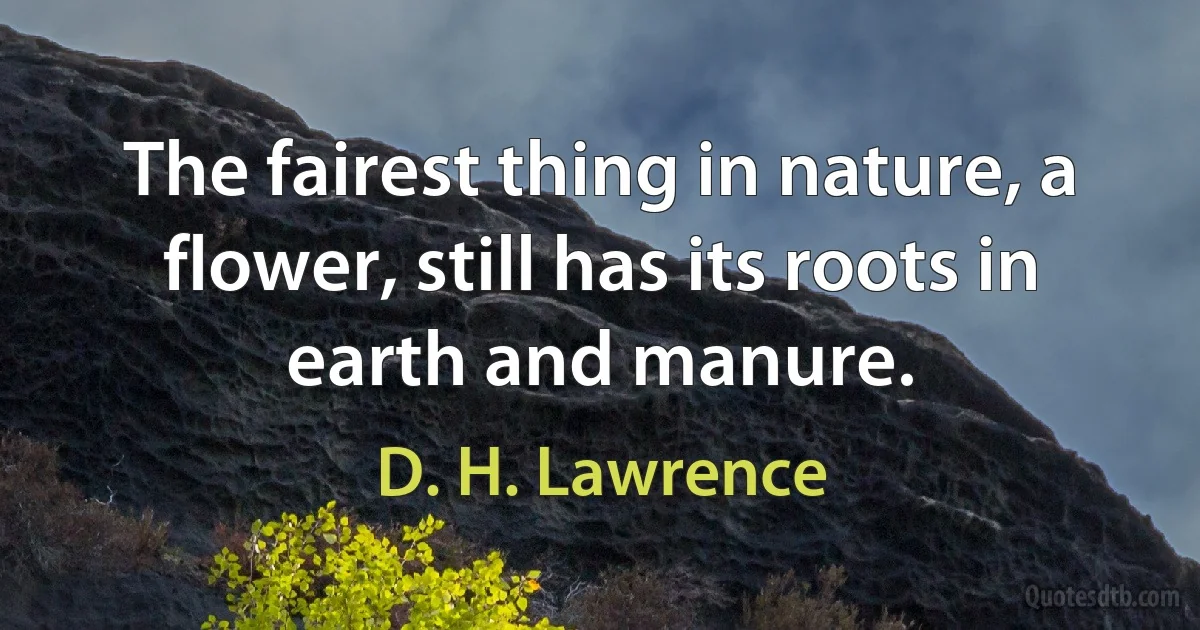 The fairest thing in nature, a flower, still has its roots in earth and manure. (D. H. Lawrence)