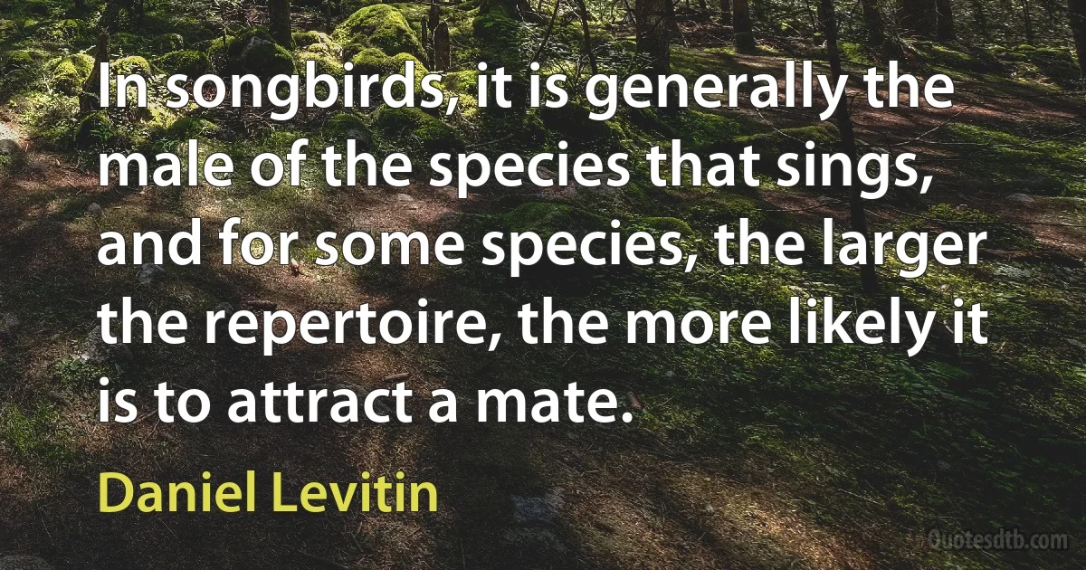 In songbirds, it is generally the male of the species that sings, and for some species, the larger the repertoire, the more likely it is to attract a mate. (Daniel Levitin)