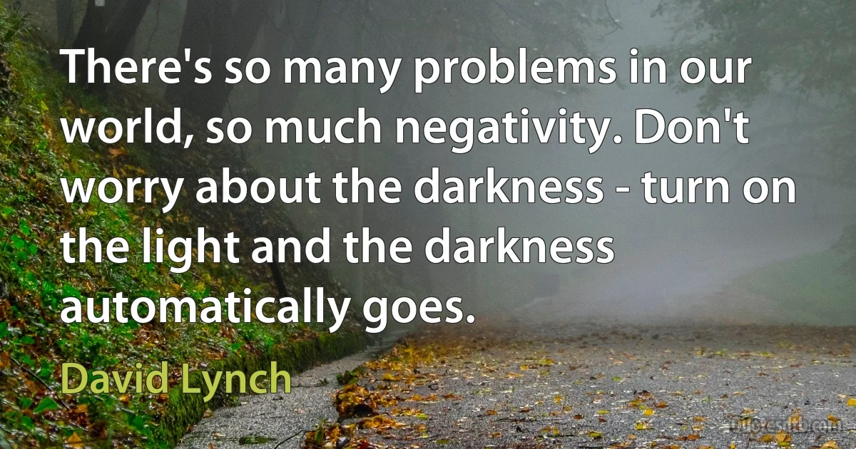 There's so many problems in our world, so much negativity. Don't worry about the darkness - turn on the light and the darkness automatically goes. (David Lynch)