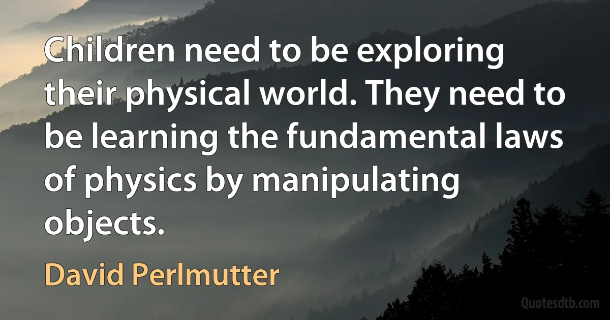 Children need to be exploring their physical world. They need to be learning the fundamental laws of physics by manipulating objects. (David Perlmutter)