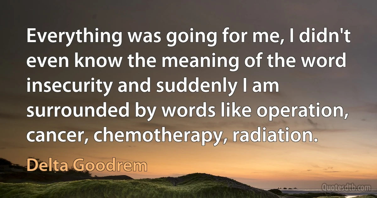 Everything was going for me, I didn't even know the meaning of the word insecurity and suddenly I am surrounded by words like operation, cancer, chemotherapy, radiation. (Delta Goodrem)