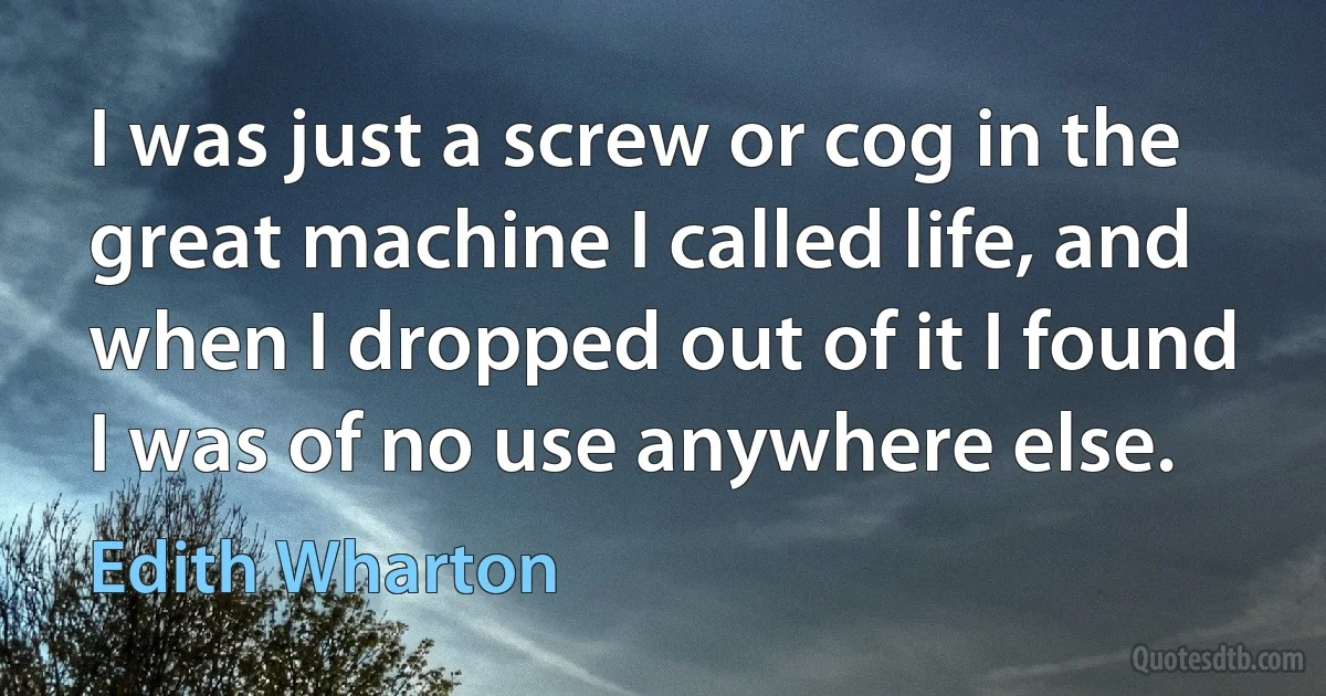 I was just a screw or cog in the great machine I called life, and when I dropped out of it I found I was of no use anywhere else. (Edith Wharton)