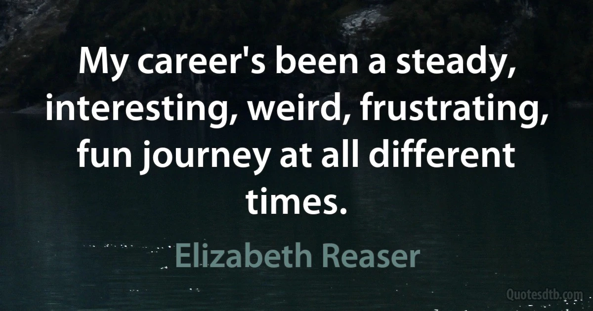 My career's been a steady, interesting, weird, frustrating, fun journey at all different times. (Elizabeth Reaser)