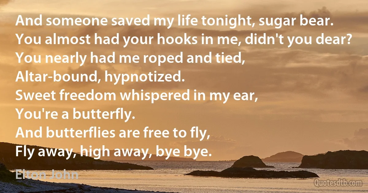 And someone saved my life tonight, sugar bear.
You almost had your hooks in me, didn't you dear?
You nearly had me roped and tied,
Altar-bound, hypnotized.
Sweet freedom whispered in my ear,
You're a butterfly.
And butterflies are free to fly,
Fly away, high away, bye bye. (Elton John)