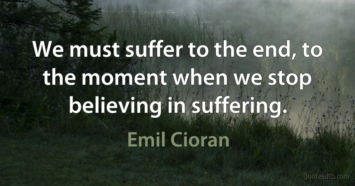 We must suffer to the end, to the moment when we stop believing in suffering. (Emil Cioran)