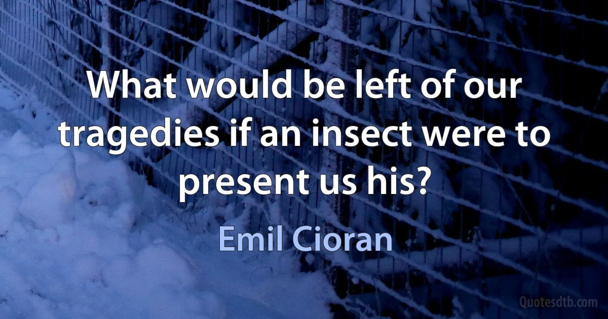 What would be left of our tragedies if an insect were to present us his? (Emil Cioran)