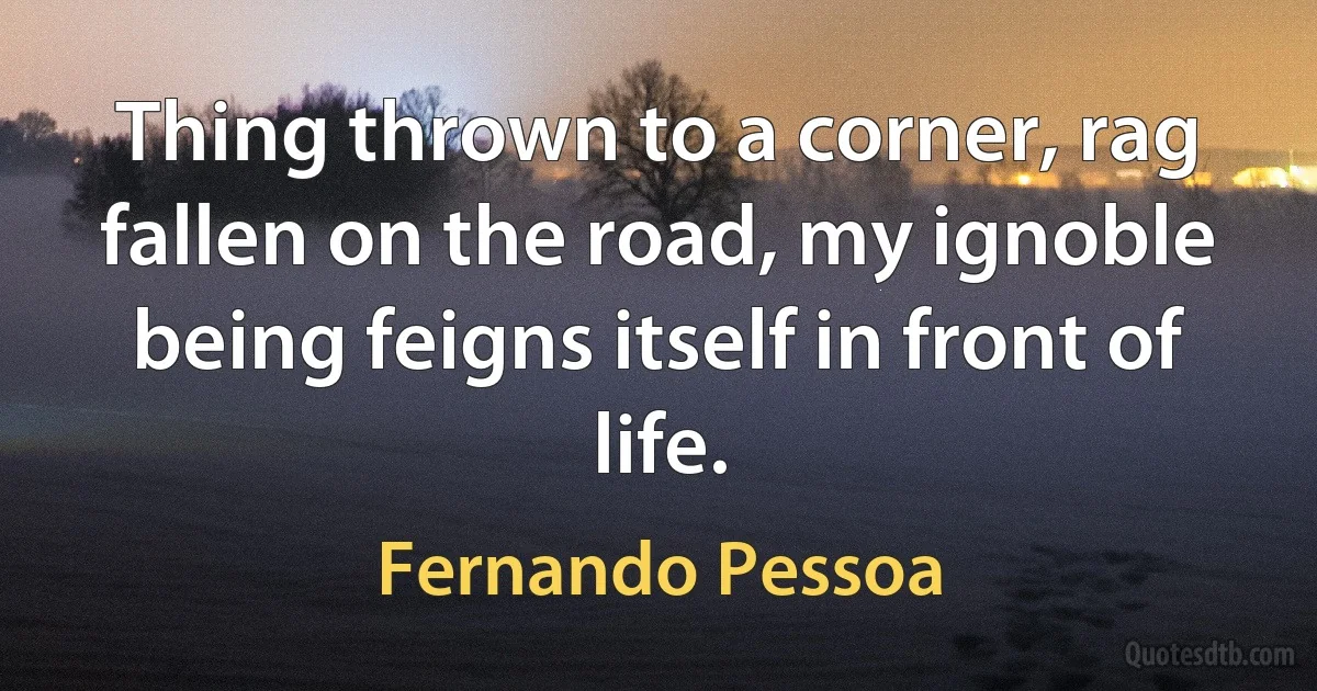 Thing thrown to a corner, rag fallen on the road, my ignoble being feigns itself in front of life. (Fernando Pessoa)