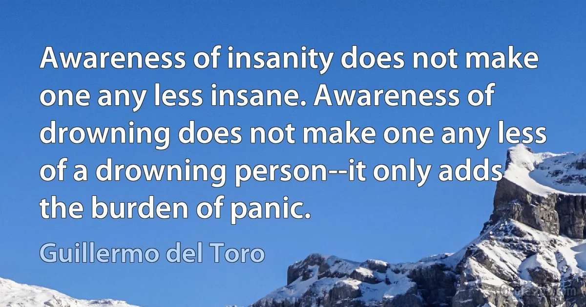 Awareness of insanity does not make one any less insane. Awareness of drowning does not make one any less of a drowning person--it only adds the burden of panic. (Guillermo del Toro)