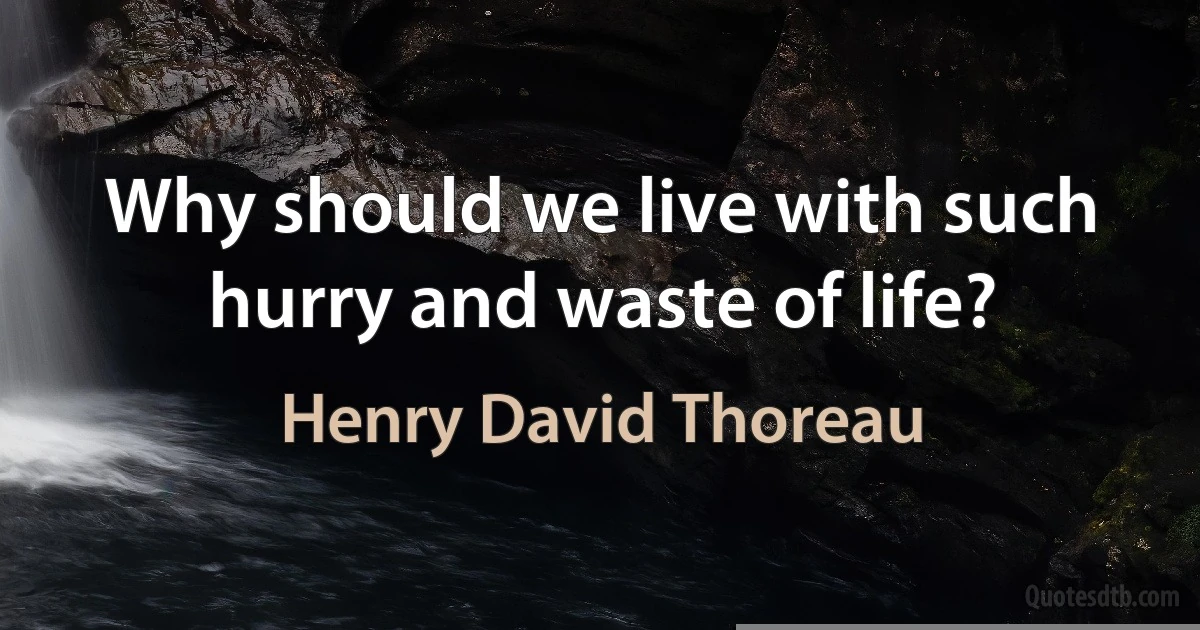 Why should we live with such hurry and waste of life? (Henry David Thoreau)