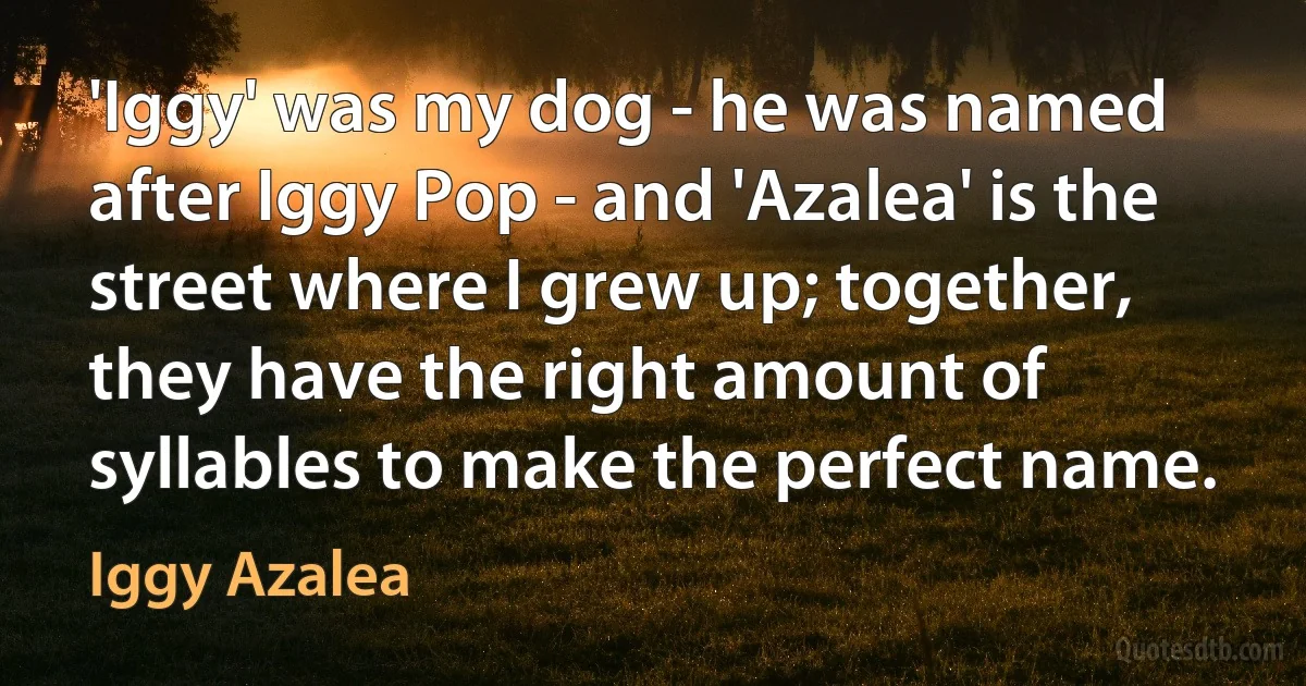 'Iggy' was my dog - he was named after Iggy Pop - and 'Azalea' is the street where I grew up; together, they have the right amount of syllables to make the perfect name. (Iggy Azalea)