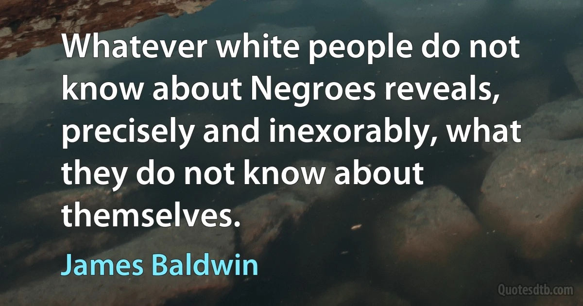 Whatever white people do not know about Negroes reveals, precisely and inexorably, what they do not know about themselves. (James Baldwin)