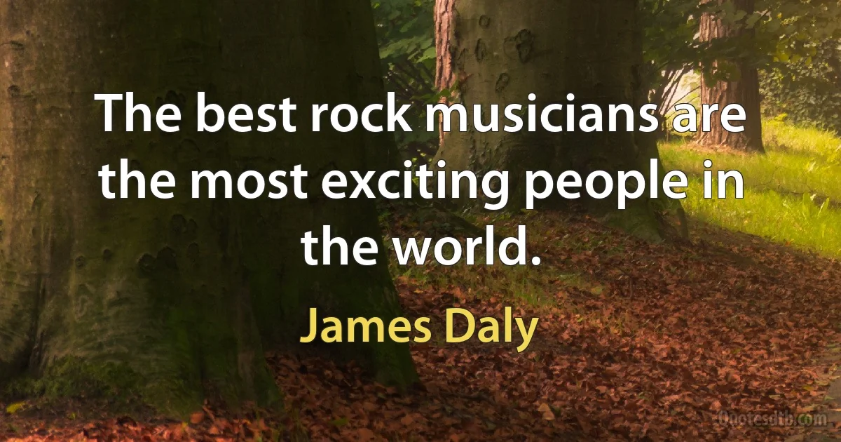 The best rock musicians are the most exciting people in the world. (James Daly)