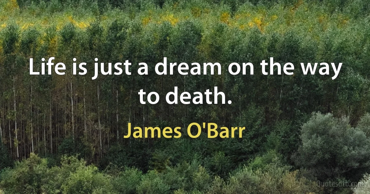 Life is just a dream on the way to death. (James O'Barr)