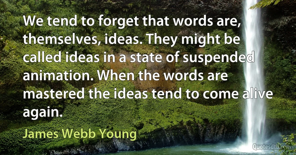 We tend to forget that words are, themselves, ideas. They might be called ideas in a state of suspended animation. When the words are mastered the ideas tend to come alive again. (James Webb Young)