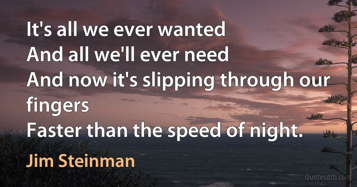 It's all we ever wanted
And all we'll ever need
And now it's slipping through our fingers
Faster than the speed of night. (Jim Steinman)