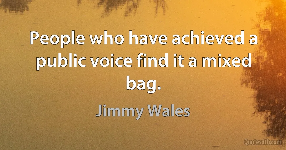 People who have achieved a public voice find it a mixed bag. (Jimmy Wales)