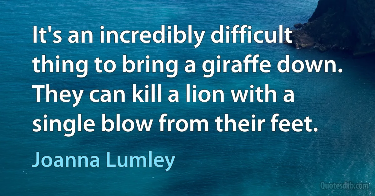 It's an incredibly difficult thing to bring a giraffe down. They can kill a lion with a single blow from their feet. (Joanna Lumley)