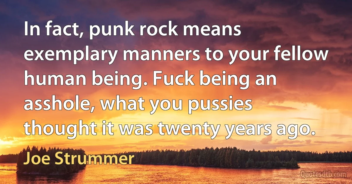 In fact, punk rock means exemplary manners to your fellow human being. Fuck being an asshole, what you pussies thought it was twenty years ago. (Joe Strummer)