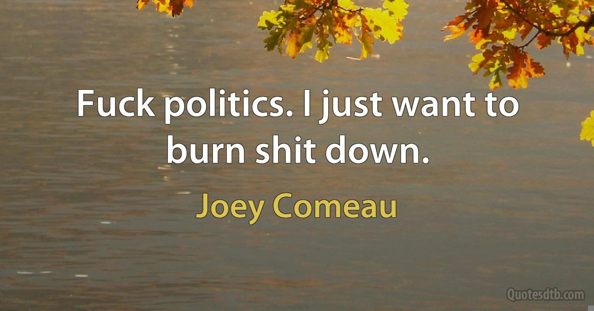 Fuck politics. I just want to burn shit down. (Joey Comeau)