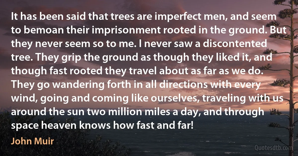 It has been said that trees are imperfect men, and seem to bemoan their imprisonment rooted in the ground. But they never seem so to me. I never saw a discontented tree. They grip the ground as though they liked it, and though fast rooted they travel about as far as we do. They go wandering forth in all directions with every wind, going and coming like ourselves, traveling with us around the sun two million miles a day, and through space heaven knows how fast and far! (John Muir)