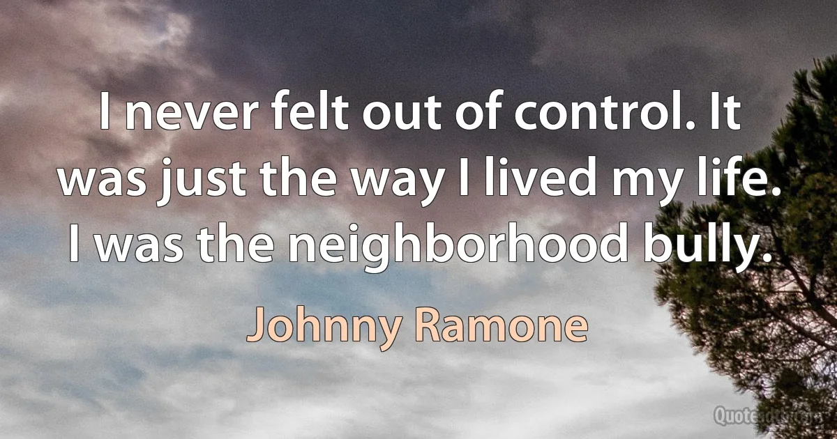 I never felt out of control. It was just the way I lived my life. I was the neighborhood bully. (Johnny Ramone)